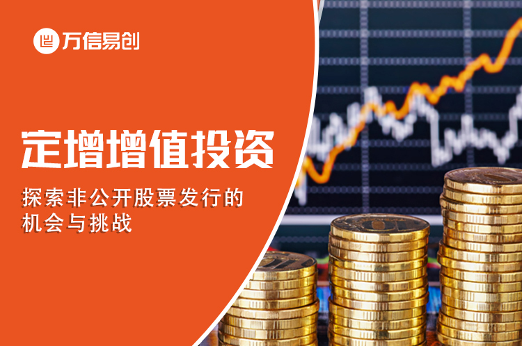 定增增值投资：探索非公开股票发行的机会与挑战